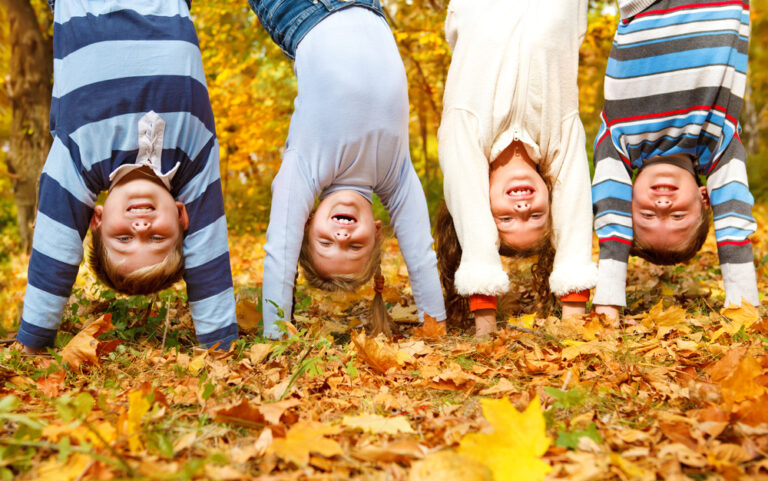 Fall